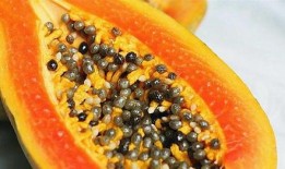 水晶瓜小孩免费吃吗有营养吗,营养价值揭秘